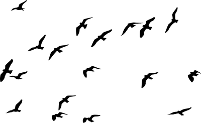g13/96/129196/3/175070502.0dc25528.PNG