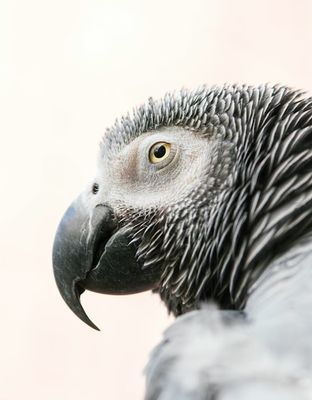 g13/96/129196/3/175100514.d50cbe8d.JPEG