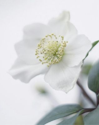 g13/96/129196/3/175163827.28f59b94.JPEG