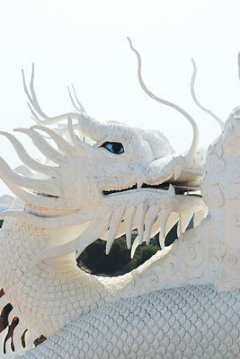 g13/96/129196/3/175163833.a010ad79.JPEG