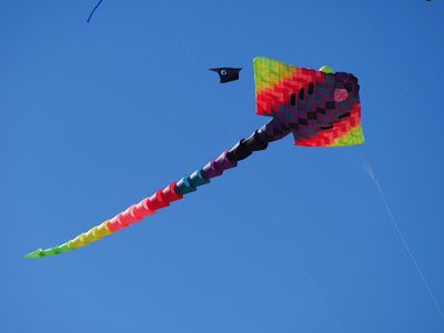g13/96/129196/3/175298591.a8f5d376.JPEG