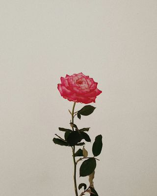 g13/96/129196/3/175328507.8357a2f4.JPEG