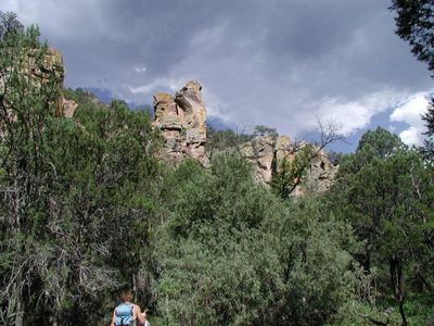 P1010017.JPG