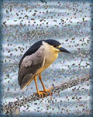 Pointillism