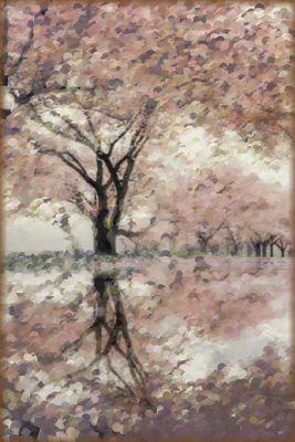 Springtime Blossom
