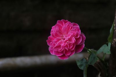 g13/96/129196/3/175470725.22df36ed.JPEG