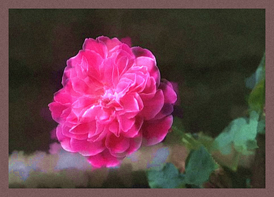 Everything's Rosy