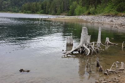 IMG_1186.JPG