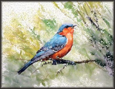 Bird in Chalk