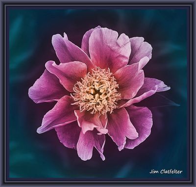 Flower for Nutcrackers