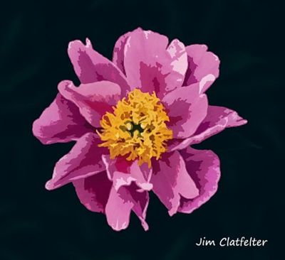 Flower 2nd Version