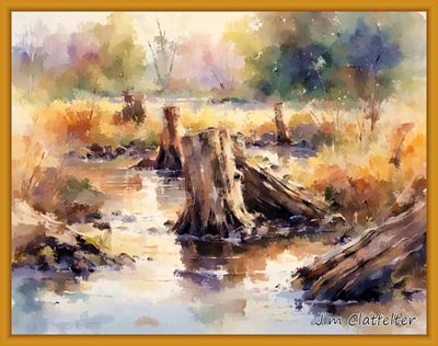 More Stumps