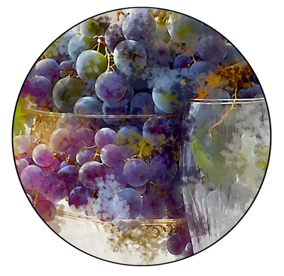 Fruit of the Vine