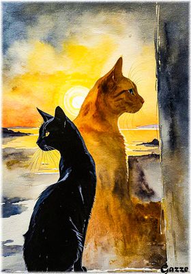 Cats