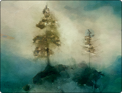 Two Trees