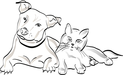 g13/96/129196/3/175664971.e985cdda.PNG