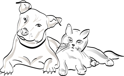 g13/96/129196/3/175665018.a8ca9a94.PNG