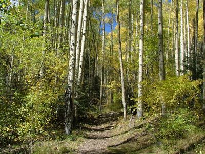 taos 2 085 (2).jpg