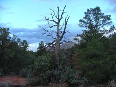 Sedona04 056 (2).jpg