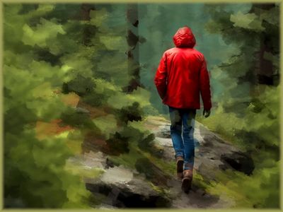 The Hiker