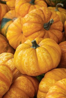 Nutcracker High Res Photos