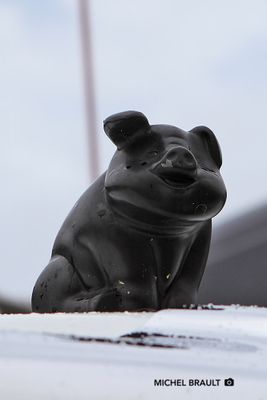 IMG_6195.jpg