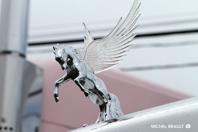 IMG_6207.jpg