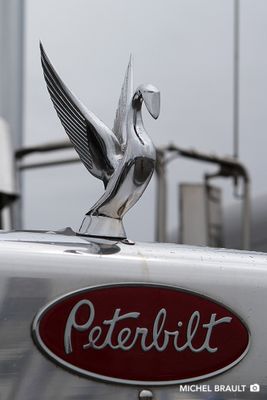 IMG_6322.jpg