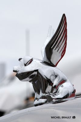 IMG_6341.jpg