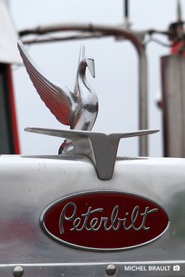 IMG_6373.jpg