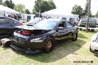 IMG_8955.jpg