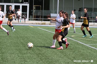 IMG_1529.jpg