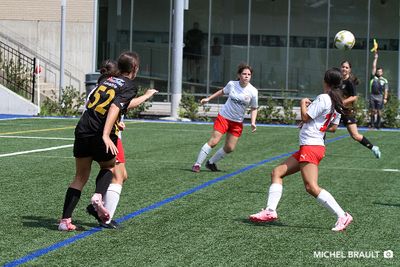 IMG_1530.jpg