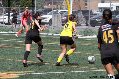 IMG_2120.jpg