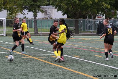 IMG_2239.jpg
