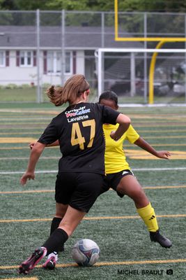 IMG_2279.jpg