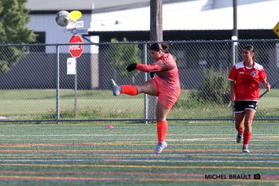 IMG_3909.jpg