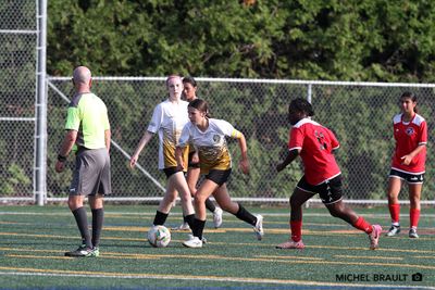 IMG_3933.jpg