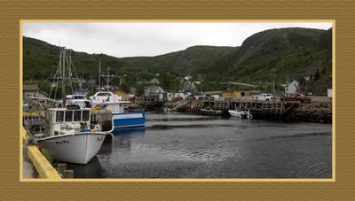 2024-06-29 4129C Petty Harbour