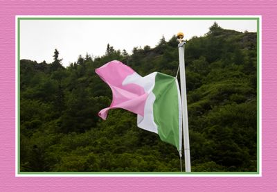 2024-06-29 4130C Newfoundland Tricolour