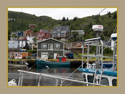 2024-06-29 4131C Petty Harbour