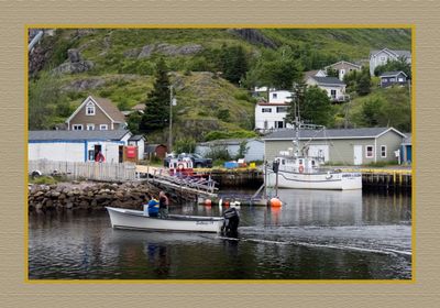 2024-06-29 4138C Petty Harbour