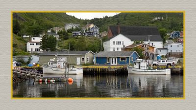 2024-06-29 4148C Petty Harbour
