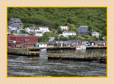 2024-06-29 4159C Looking Back at Petty Harbour