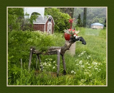 2024-06-29 4186C Watch out for Moose