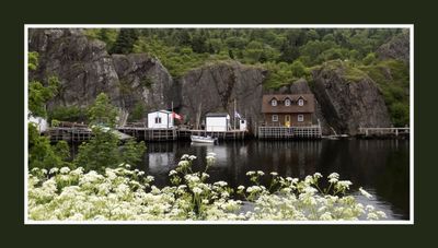 2024-06-29 4211C Quidi Vidi Village