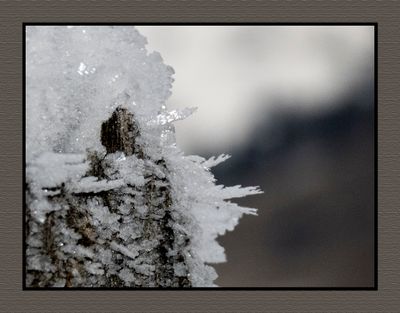 2025-01-30 0043C Winter's Reach