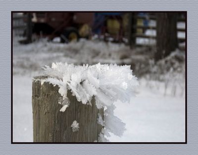 2025-01-30 0049C My Latest Post