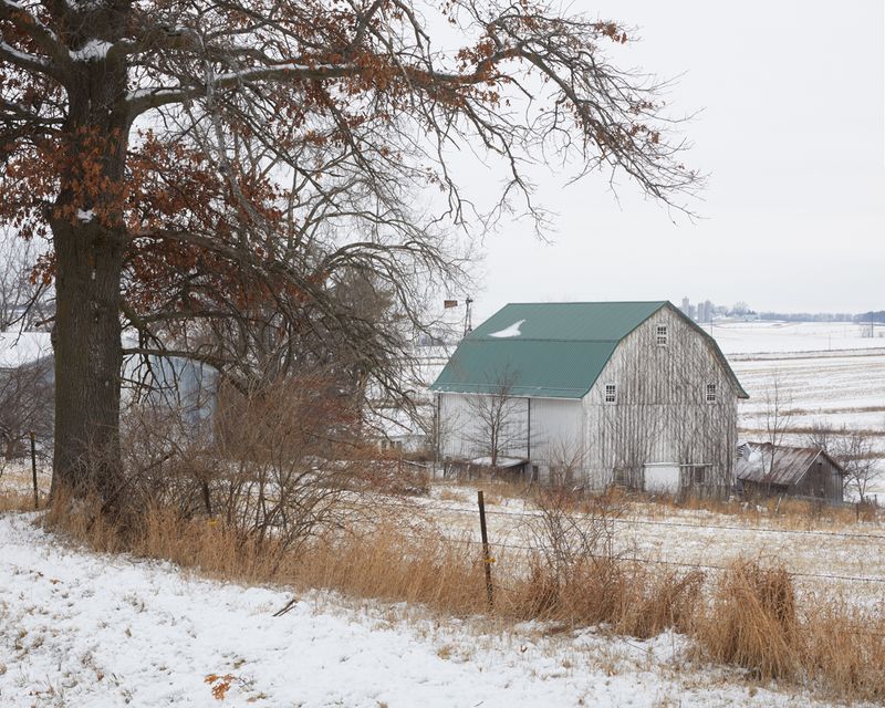 Barn and Oak on Maize Road 
