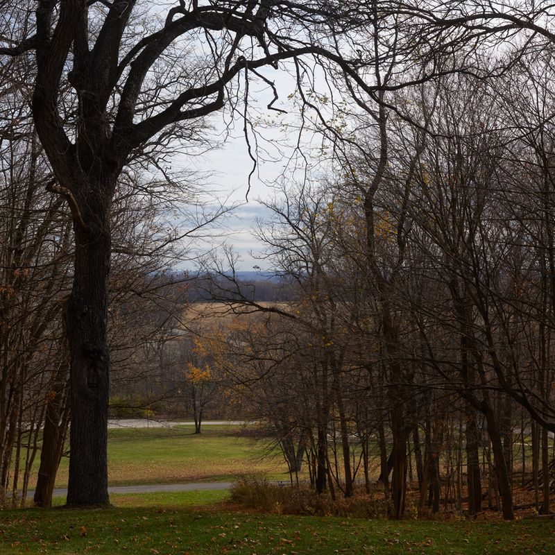 Through the Trees at Johnsons Mound 